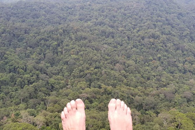 Sinharaja Short tour with 5 waterfalls tour or Adventure tour - Is $75 good value for this Sinharaja experience?