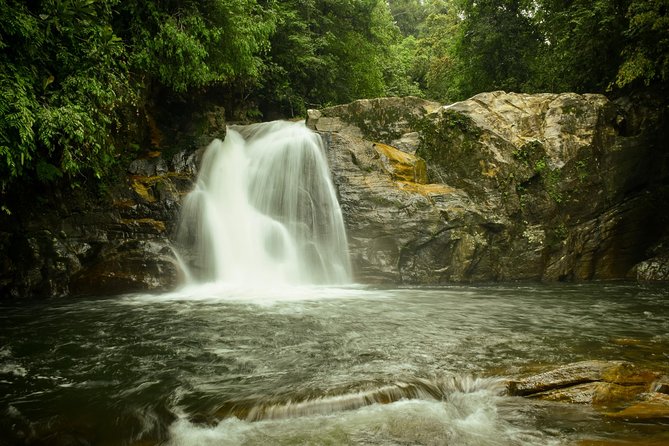 Sinharaja Short tour with 5 waterfalls tour or Adventure tour - Cancellation and booking details worth knowing