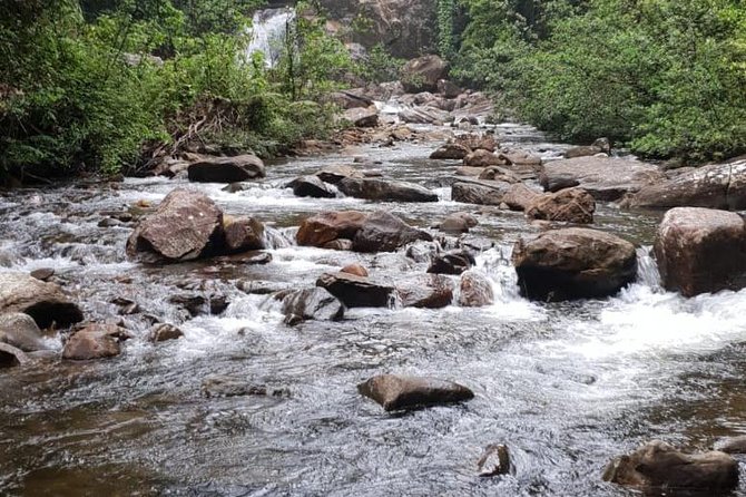 Sinharaja Short tour with 5 waterfalls tour or Adventure tour - The first four hours: forest entrance, bridge, and waterfalls