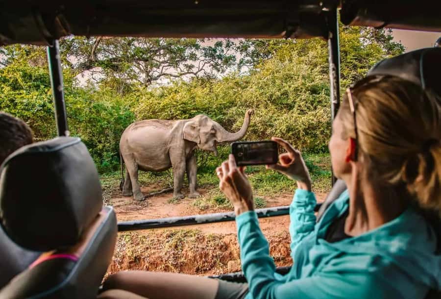 SKIP THE LINE - YALA SAFARI TOUR - Incl. ENTRY TICKETS - At Yala’s main entrance before sunrise