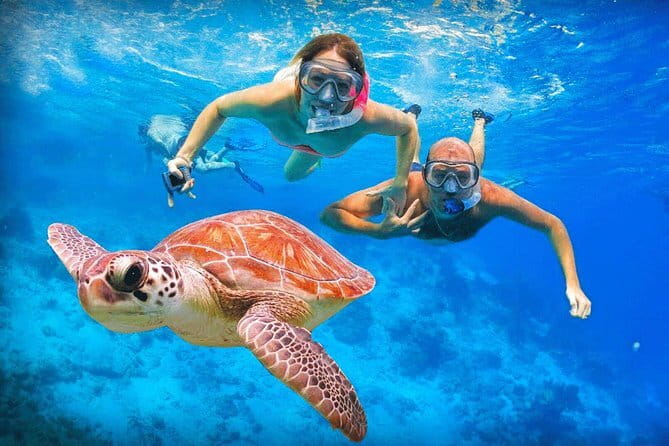 Snorkeling at Hikkaduwa - Five hours around Hikkaduwa