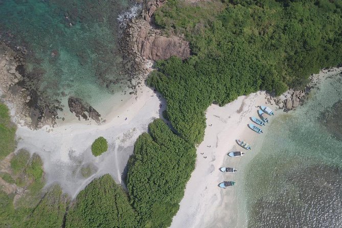 Snorkeling at Pigeon Island - Who should book this snorkeling trip