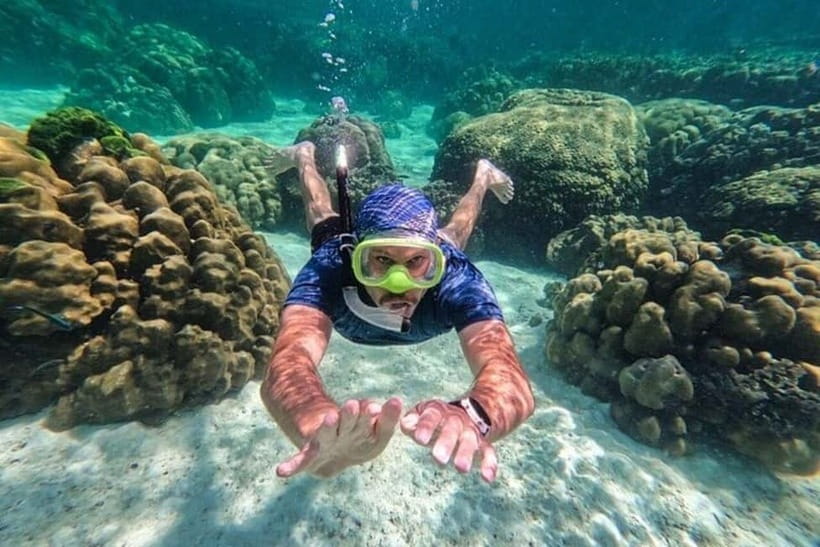 Snorkeling at Pigeon Island Trincomalee - Key points to know before booking