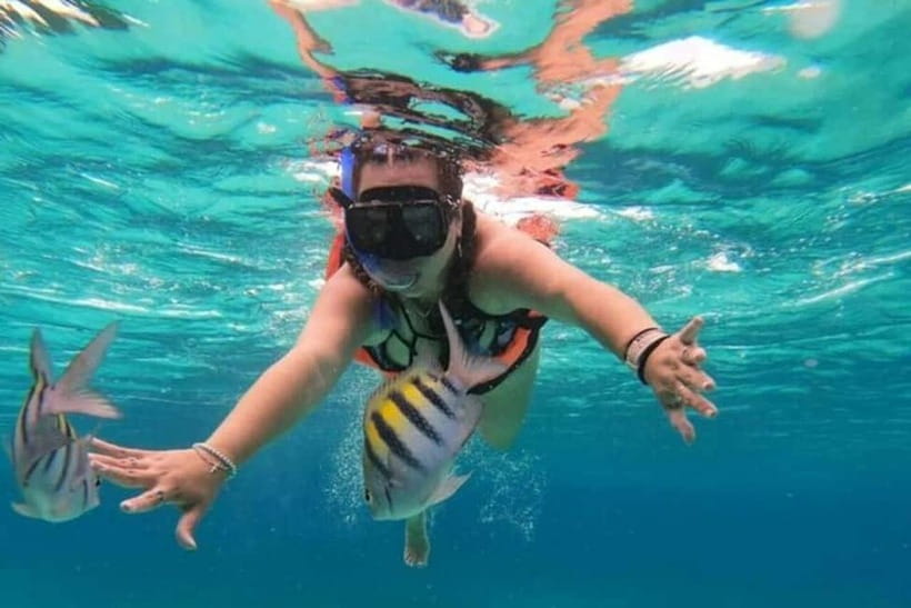 Snorkeling at Pigeon Island Trincomalee - Coral reefs and tropical fish in shallow water