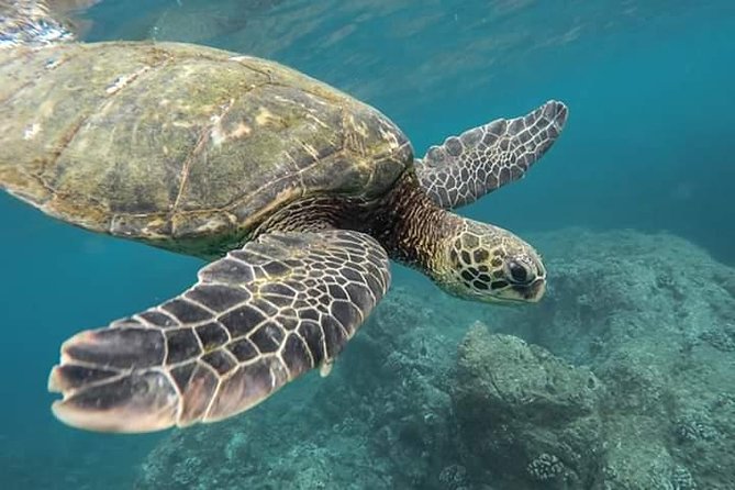 Snorkeling at Pigeon Island - What the three-hour itinerary is really like