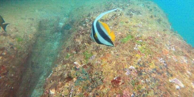 Snorkeling in Hikkaduwa - What the $39 price includes