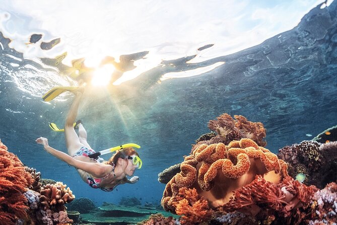 Snorkeling in Trincomalee - Key points to know before you book