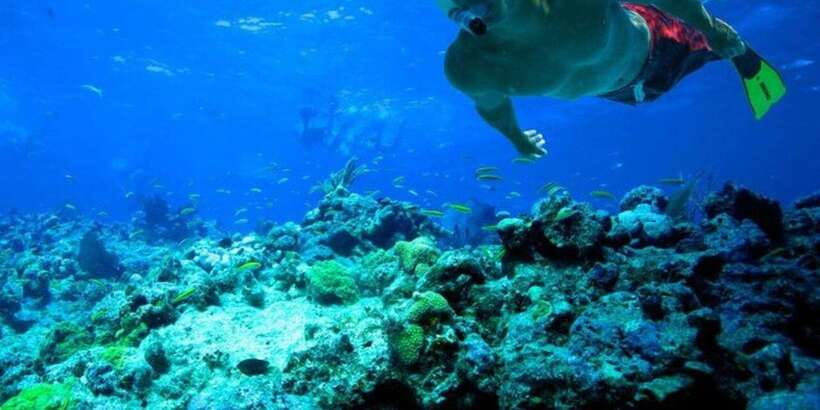 Snorkeling in Trincomalee - Best timing: May through October