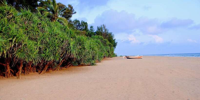 Snorkeling in Trincomalee - Practical tips for a smoother outing
