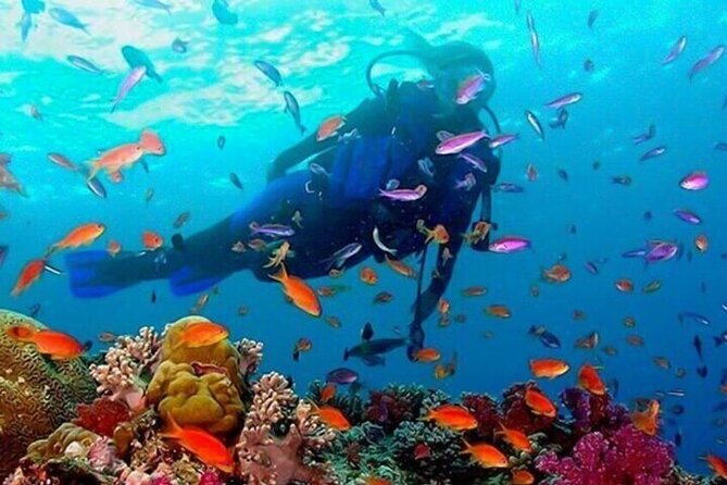 Snorkeling in Trincomalee - Getting ready with equipment and safety guidance
