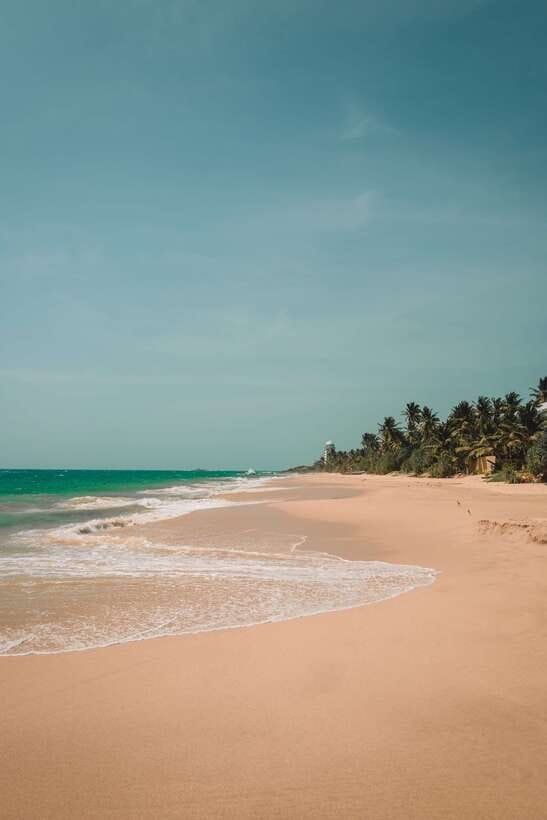 Snorkeling in Unawatuna - The Value of $47 for Two Hours