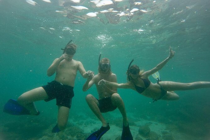 Snorkeling On Beautiful Rock Island - Unawatuna by Boat - Key Points About This Unawatuna Snorkeling Trip