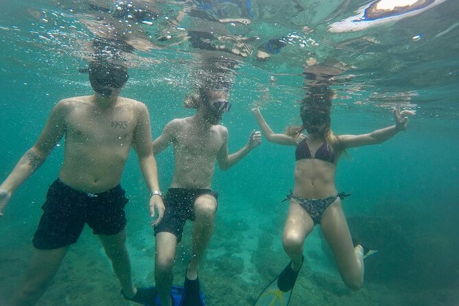 Snorkeling On Beautiful Rock Island - Unawatuna by Boat - What the Two-Hour Schedule Looks Like