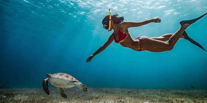 Snorkeling Trip from Polhena Beach, Matara, Sri Lanka - Polhena Beach gives the trip a simple start