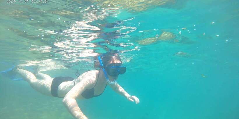 Snorkeling Trip from Polhena Beach, Matara, Sri Lanka - Swimming with turtles, when the conditions cooperate