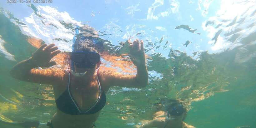 Snorkeling Trip from Polhena Beach, Matara, Sri Lanka - Fish, coral, and shells add value