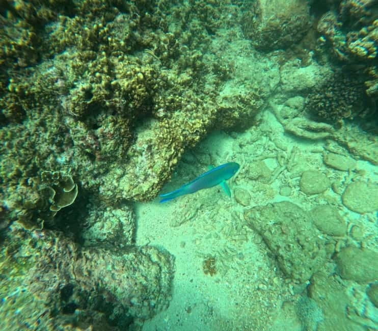 Snorkeling Trip To Angel Rock - What makes Angel Rock special