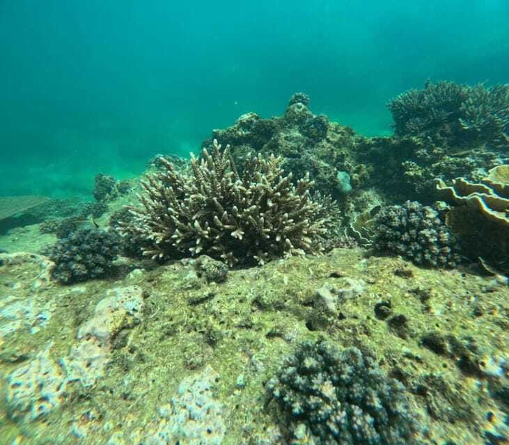 Snorkeling Trip To Angel Rock - Who should book this snorkeling trip?