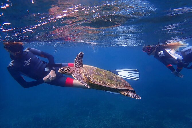 Snorkeling Trip to Pigeon Island - The real price: $42.13 plus the park ticket