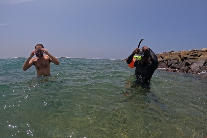 Snorkeling with Turtles in Mirissa - Rough seas, clear water, and flexible morning timing