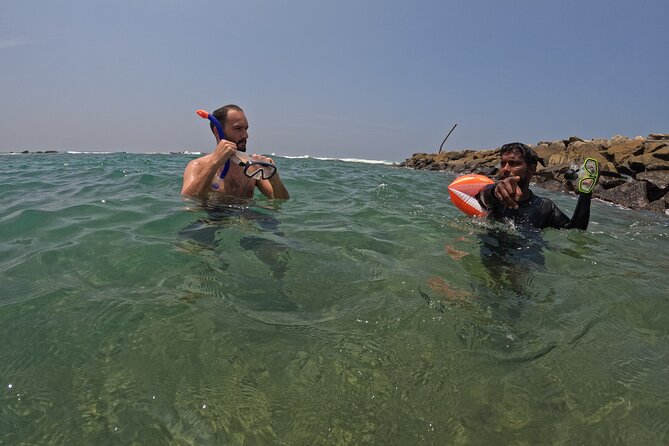 Snorkeling with Turtles in Mirissa - Is $25 a good value for one hour?