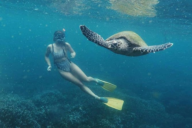 Snorkeling with Whales in Mirissa - When the Day Falls Short