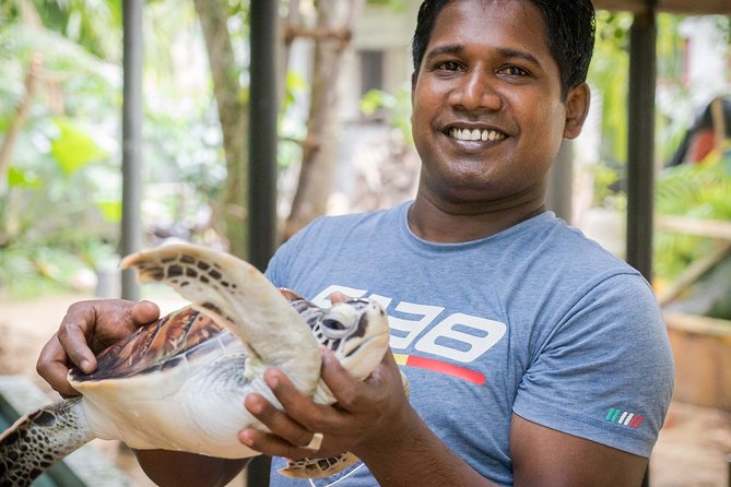 Southern Sri Lanka Sightseeing Day Trip From Colombo & Negombo - What this South Coast trip is really trying to do