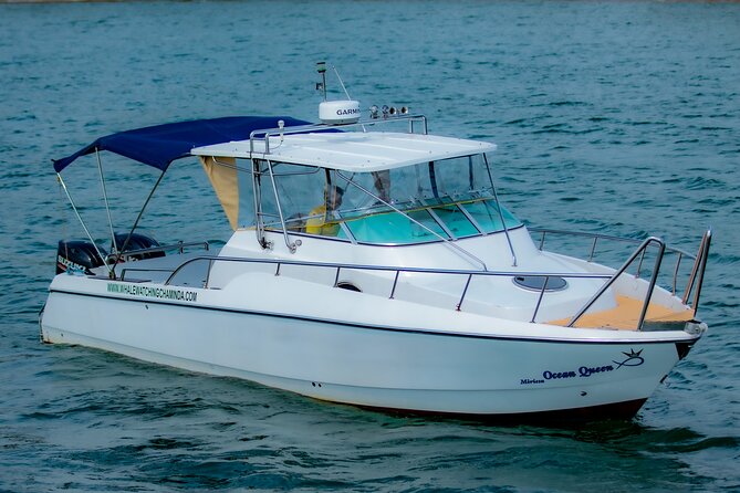 Sports Boat- Private Whale Watching Trip( free breakfast & paid pick-up) - Key points before you book