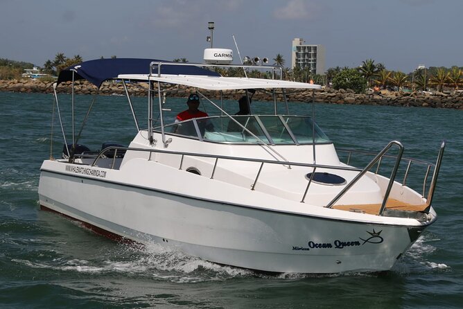 Sports Boat- Private Whale Watching Trip( free breakfast & paid pick-up) - Meeting at 7:00 am in Mirissa