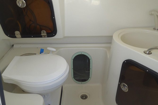 Sports Boat- Private Whale Watching Trip( free breakfast & paid pick-up) - A sports boat built for a small private group