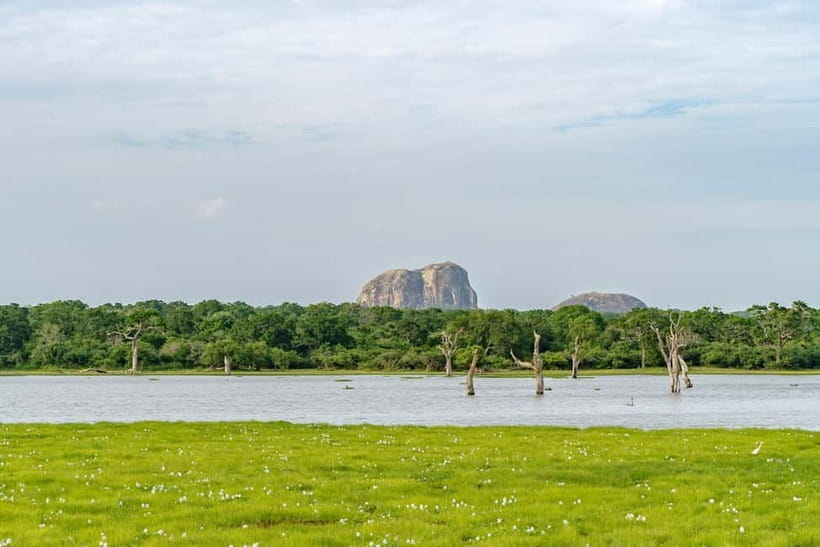 Sri Lanka 12-Day Private Round Tour; Car, Guide, Hotel, Food - Negombo begins with fish markets and an easy landing