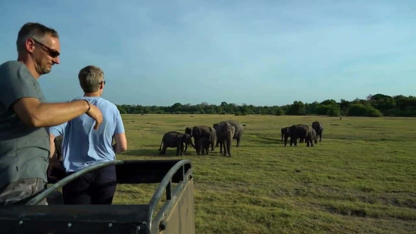 Sri Lanka: 2-Day Adventure to Sigiriya, Dambulla & Kandy - What the $149 price really covers
