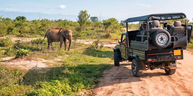 Sri Lanka: 2-Day wildlife tour; rainforest and National park - Who will enjoy this trip most?