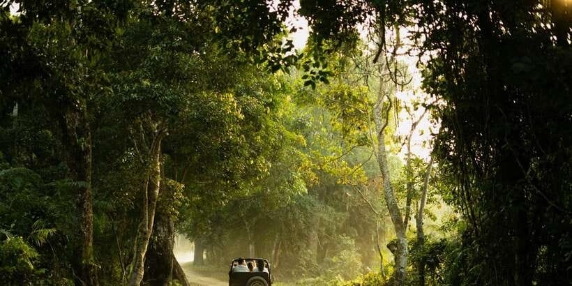 Sri Lanka: 2-Day wildlife tour; rainforest and National park - The overnight stop: practical rather than polished