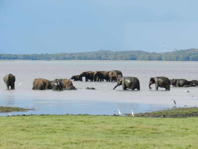 Sri Lanka: 3-Day Cultural Triangle, Hill Country, Train Tour - Why this three-day route works