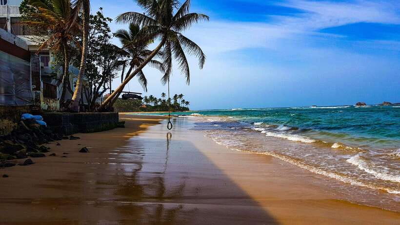 Sri Lanka: 3-Day Nature Tour with Rainforest, Safari - What this three-day route really offers