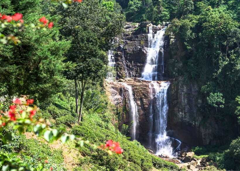 Sri Lanka 3-day Private Tour: Kandy, Nuwara Eliya, Ella - Practical advice for a smoother three days