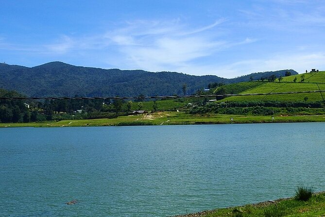 Sri lanka 4 Days Sightseeing Tour - Day 2: Tea country, Ambewalla Farm, and Nuwara Eliya
