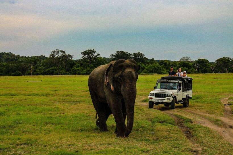 Sri Lanka: 4N5Day guided FULL TOUR with hotel accommodations - Day 1: Dambulla caves and Sigiriya’s Lion Rock