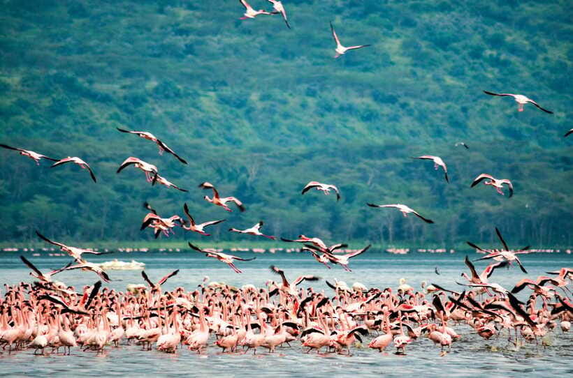 Sri Lanka 5-Day Private Country Side Tour Car, Hotels, Food - Who should choose this five-day route?