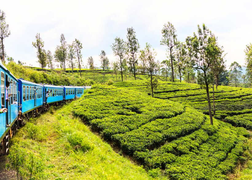 Sri Lanka 5-Day Private Country Side Tour Car, Hotels, Food - What the $599 price really covers