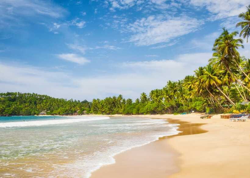 Sri Lanka 5-Day Private Country Side Tour Car, Hotels, Food - Food, hotels, and what you still need to pay for