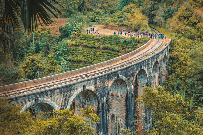 Sri Lanka 5 Day tour Best Nature and Culture include top hotels - Day 1: Sigiriya at sunset and Habarana after dark