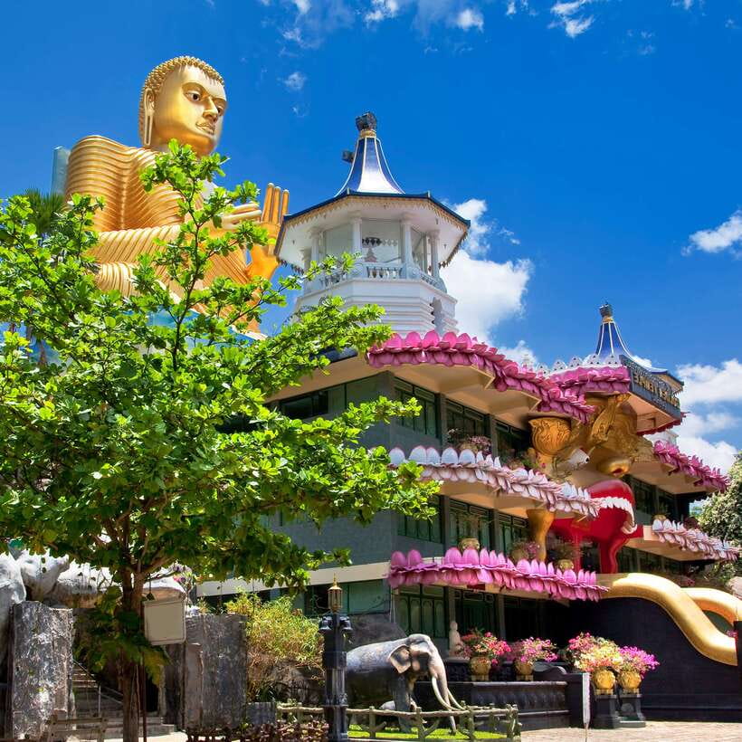 Sri Lanka: 5 Days Multi City Sightseeing Tour - Hotels, meals, and the $500 price