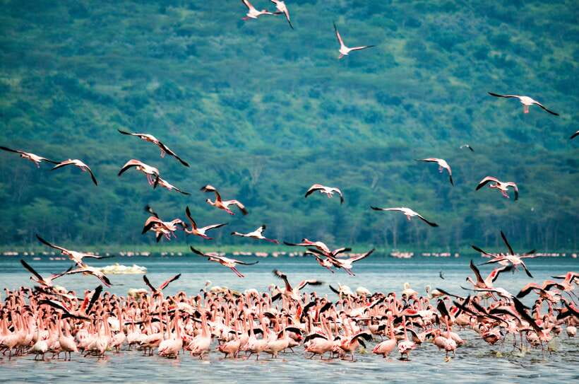 Sri Lanka: 9-Day Private Tour Hotels, Meals, Guide-Transport - Key Details That Shape the Trip