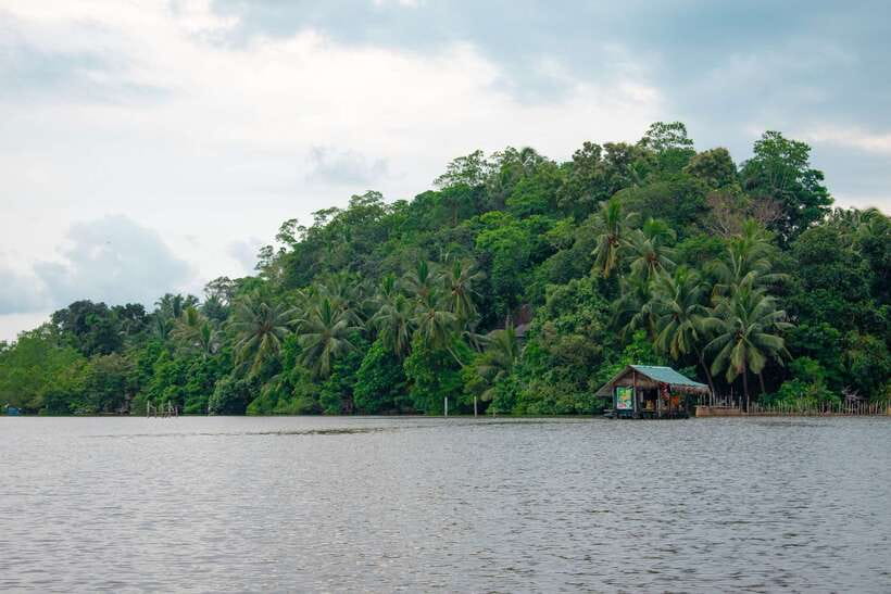 Sri Lanka Bentota: Private Mangrove Lagoon and River Cruise - Who will enjoy this cruise most