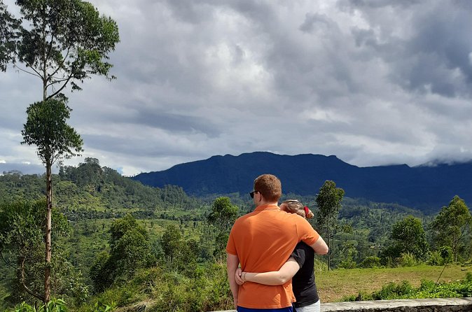 Sri Lanka Car and Driver Hire - What you might see across Sri Lanka
