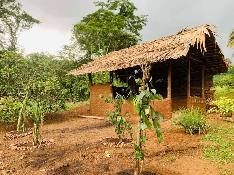 Sri Lanka: Ceylon Cinnamon Experience & Spice Garden Tour - Arriving at Warala Watta Farm