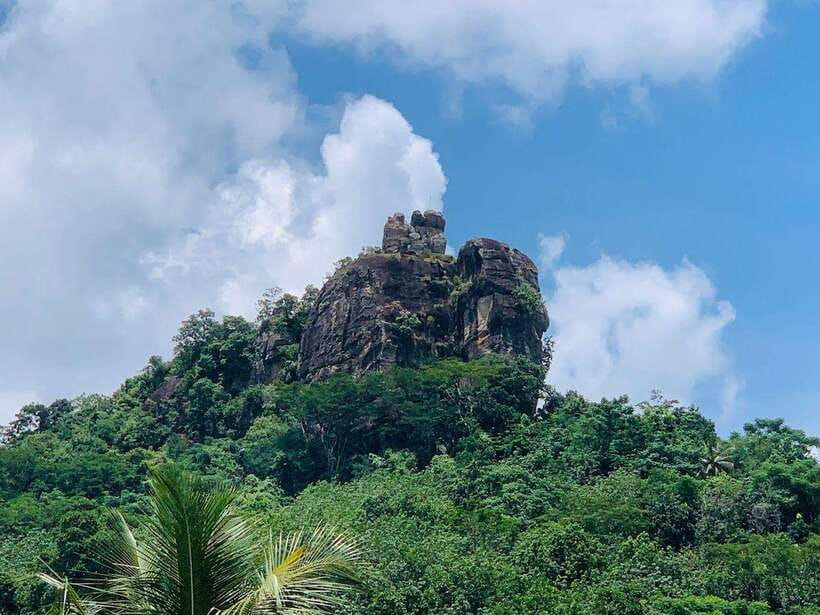 Sri Lanka: Ceylon Cinnamon Experience & Spice Garden Tour - Tasting fresh spices, fruit, and tea