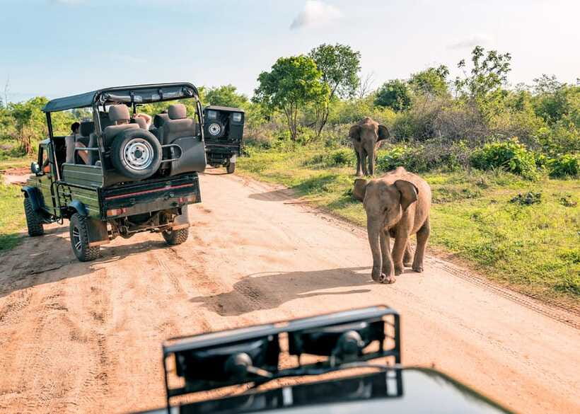 Sri Lanka Cultural Triangle Private 2-Day Tour+Wildlife Tour - At a glance: what this two-day route delivers